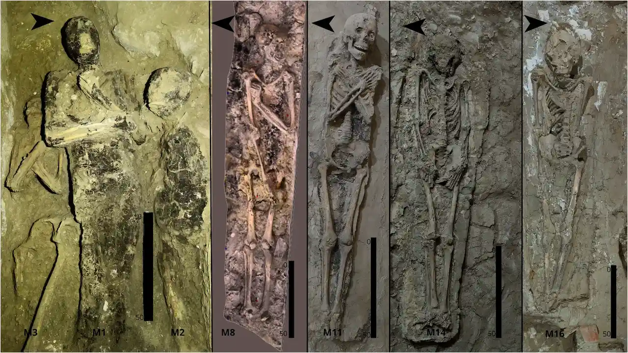 Momias seleccionadas de SC3 (TT 209) que ilustran la variabilidad en la orientación y la posición de las extremidades superiores. Si bien todos los individuos se encuentran en posición supina, se documentan orientaciones tanto hacia el este (p. ej., M16, M10, M3) como hacia el oeste (p. ej., M14, M11, M8). Las posiciones de los brazos varían desde las manos sobre la pelvis o las extremidades en los depósitos más antiguos (p. ej., M16, M14) hasta los brazos predominantemente cruzados sobre el pecho en los individuos más recientes (p. ej., M11, M3, M1), con configuraciones asimétricas ocasionales (p. ej., M12) / Imagen: Frontiers Momias seleccionadas de SC3 (TT 209) que ilustran la variabilidad en la orientación y la posición de las extremidades superiores. Si bien todos los individuos se encuentran en posición supina, se documentan orientaciones tanto hacia el este (p. ej., M16, M10, M3) como hacia el oeste (p. ej., M14, M11, M8). Las posiciones de los brazos varían desde las manos sobre la pelvis o las extremidades en los depósitos más antiguos (p. ej., M16, M14) hasta los brazos predominantemente cruzados sobre el pecho en los individuos más recientes (p. ej., M11, M3, M1), con configuraciones asimétricas ocasionales (p. ej., M12) / Imagen: Frontiers