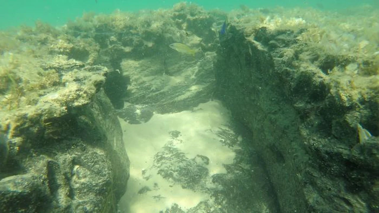 Arrecife de turba sumergido en el archipiélago de Bazaruto, en Mozambique una grieta de antigua turba cubierta de algas y praderas marinas, con peces nadando sobre el fondo de arena / Foto: Observatorio Oceánico BCSS