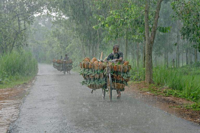 El fenómeno de El Niño: Oxfam insta a los gobiernos a que aumenten de inmediato la financiación humanitaria / Foto: OMM El fenómeno de El Niño: Oxfam insta a los gobiernos a que aumenten de inmediato la financiación humanitaria / Foto: OMM