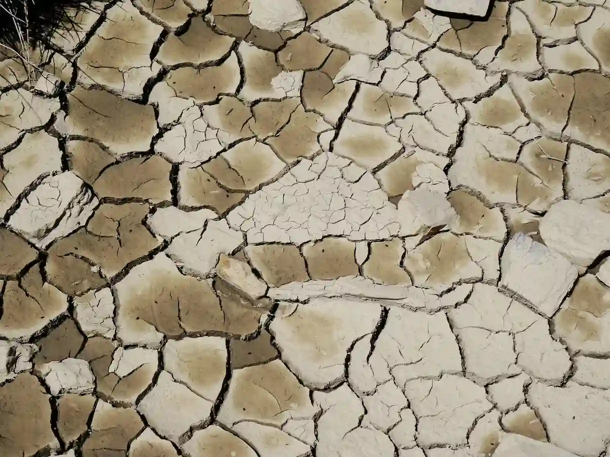 Día cambio climatico. Fuente: PB