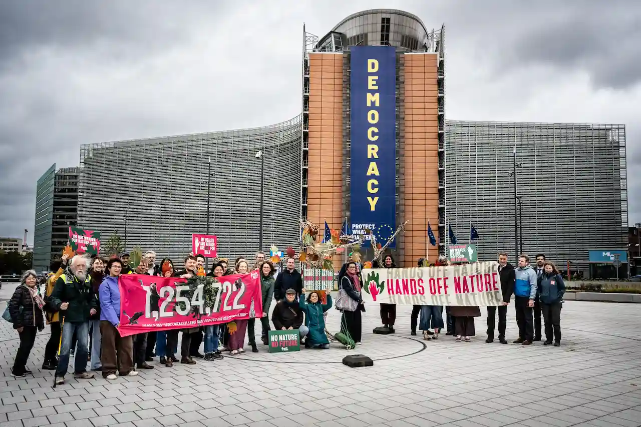 Entrega de firmas #HandsOffNature en Bruselas / Foto: SEO/BirdLife Entrega de firmas #HandsOffNature en Bruselas / Foto: SEO/BirdLife