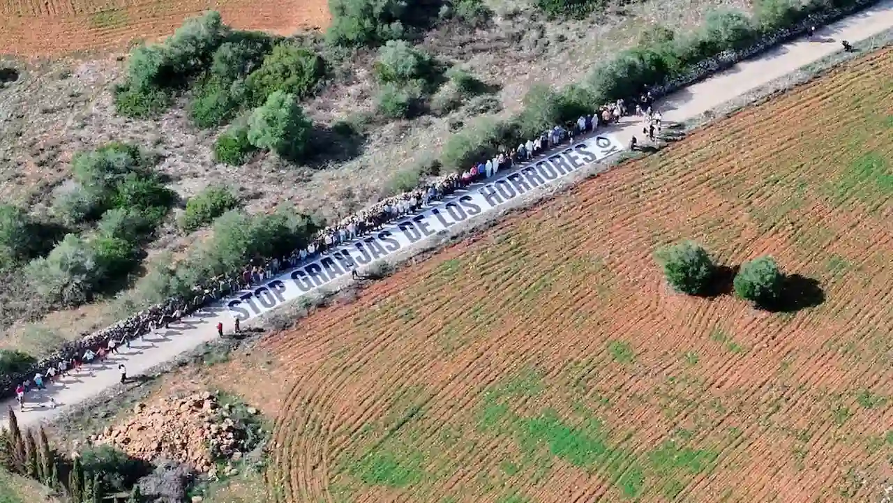Cadena humana vecinal contra el proyecto de macrogranja de 80.000 gallinas, en Manacor / Foto: EP Cadena humana vecinal contra el proyecto de macrogranja de 80.000 gallinas, en Manacor / Foto: EP