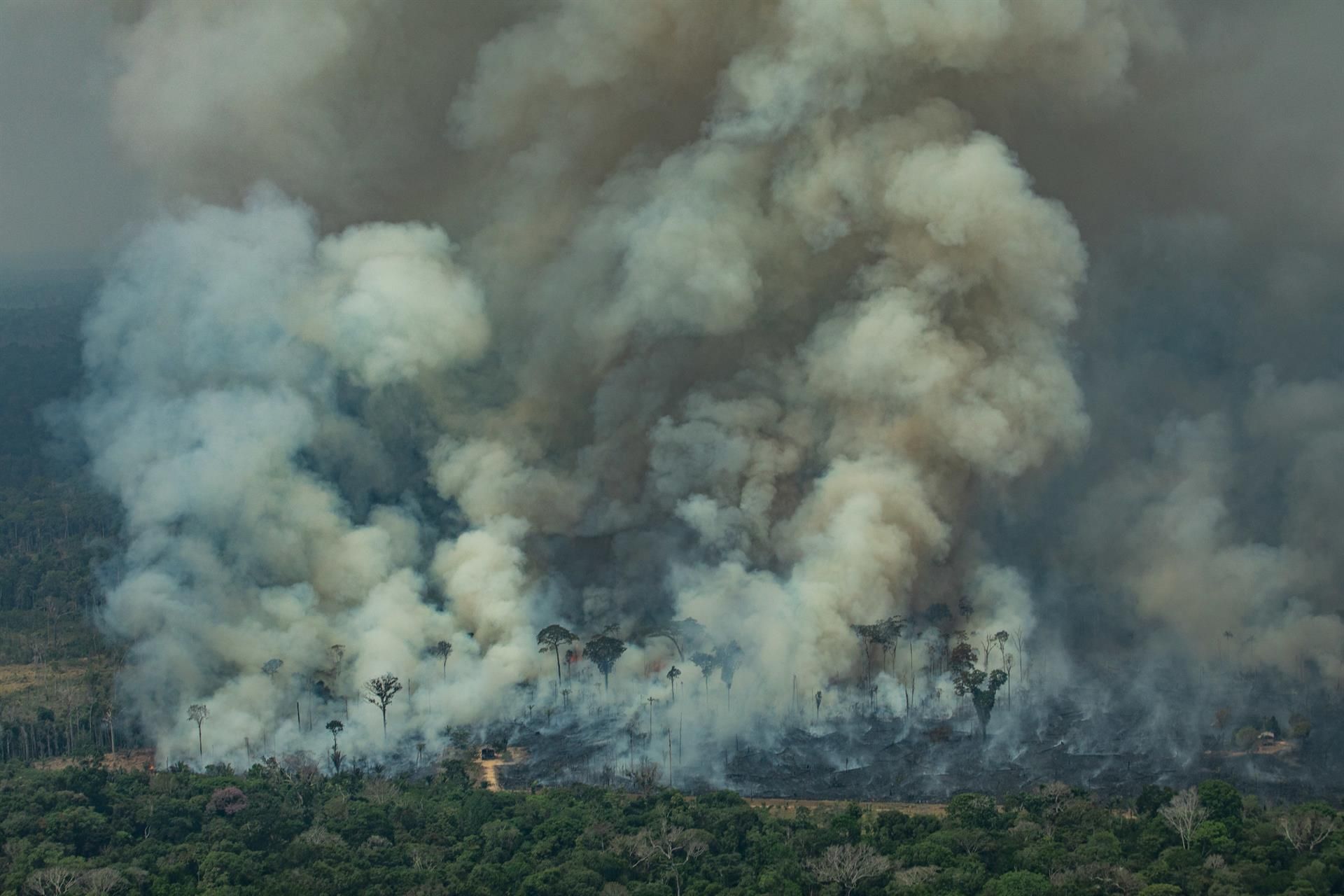 Uno de los enormes incendios de la Amazonia de 2019 / Foto: Víctor Moriyama - Greenpeace Brasil