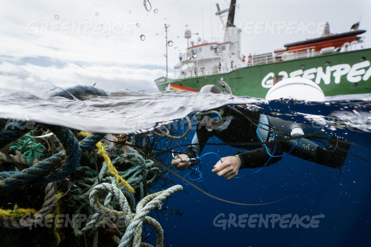 Un miembro de Greenpeace coloca un emisor GPS en una red fantasma en el Pacífico para conocer cómo se desplazan / Foto: Justin Hofman - Greenpeace