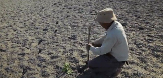 Jadav Payeng plantando en suelo arenoso / Foto: Forest Man