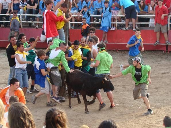 Santpedor era el penúltimo pueblo de Barcelona que celebraba fiestas taurinas / Foto: Anima Naturalis