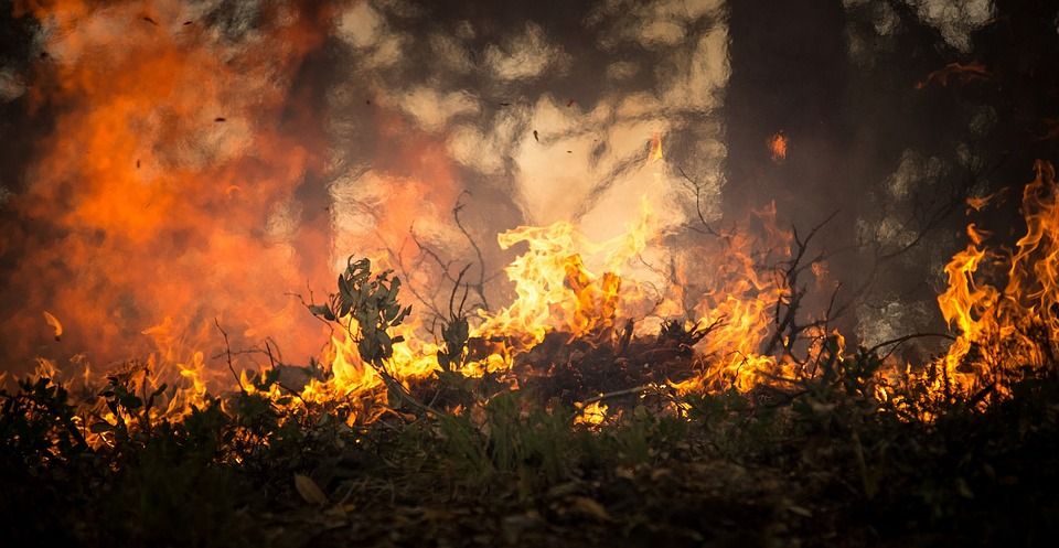El incremento de las temperaturas genera incendios cada vez más frecuentes y virulentos / Foto: Skeeze