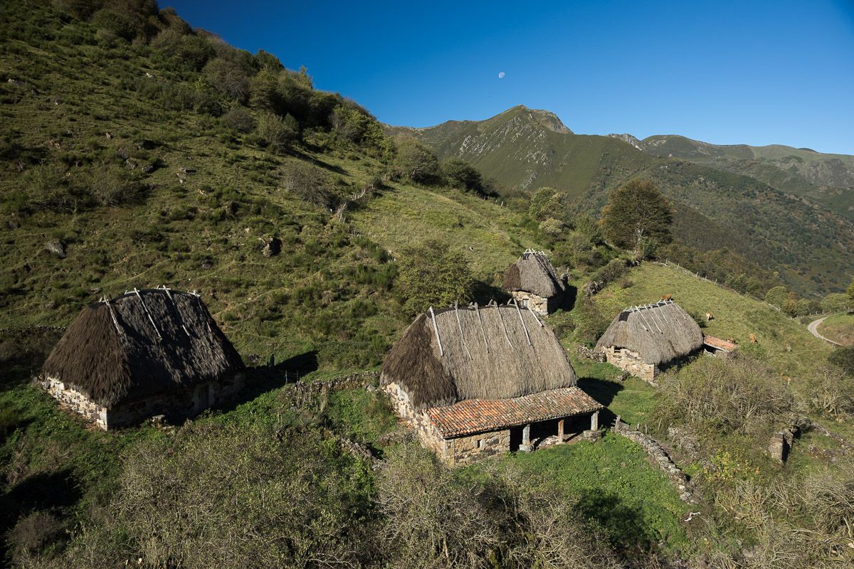 Vista general de la Braña de Endriga, desde la que se domina todo el valle de Saliencia / Foto: Roger Rovira