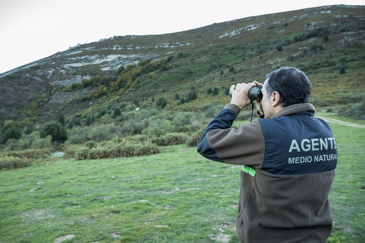 El guarda de la Patrulla Oso tratando de localizar algún ejemplar con sus prismáticos / Foto: Roger Rovira