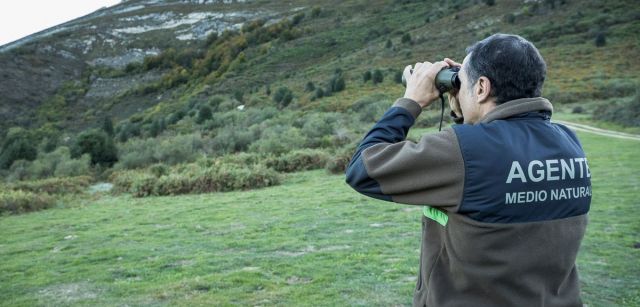 El guarda de la Patrulla Oso tratando de localizar algún ejemplar con sus prismáticos / Foto: Roger Rovira