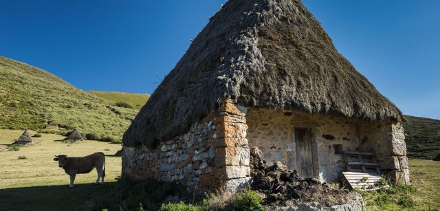 Una de las cabañas de teito típicas del concejo, con cubierta vegetal hecha de la planta de la que toman el nombre / Foto: Roger Rovira