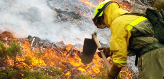 Un bombero trabaja para apagar el fuego en Puerto del Pico, en la provincia de Ávila / Foto: MAGRAMA