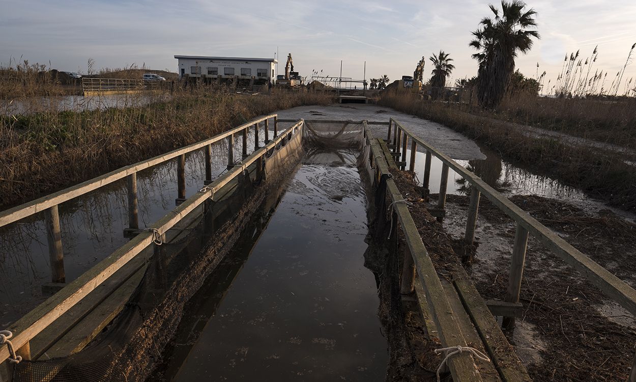 Canal de desagüe de los arrozales obstruido por la arena en las proximidades de la playa de la Marquesa / Foto: Josep Cano