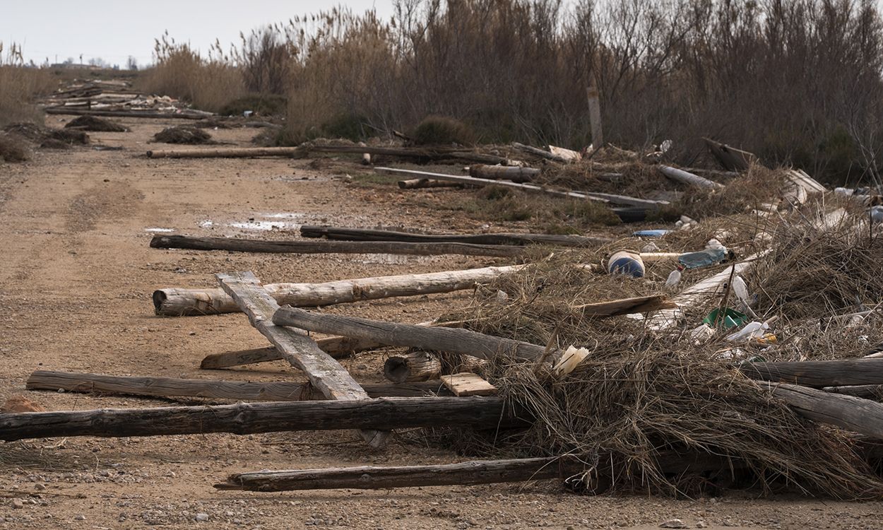 Enormes postes de las 35 mejilloneras destrozadas en la bahía del Fangar lanzadas por las olas a decenas de metros tierra adentro / Foto: Josep Cano