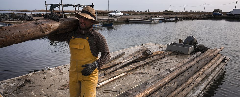 Trabajadores de una mejillonera destruída descargando postes recuperados de las aguas en el Port d'Illa de Mar / Foto: Josep Cano