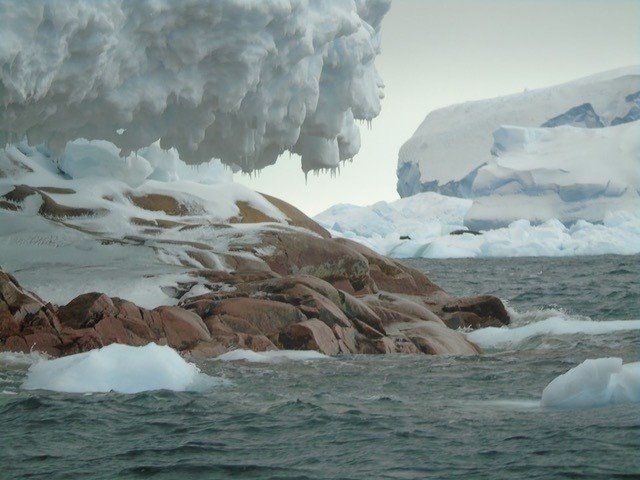 Aspecto de la isla Sift en la Antártida / Foto: UH / @Houston Wellner