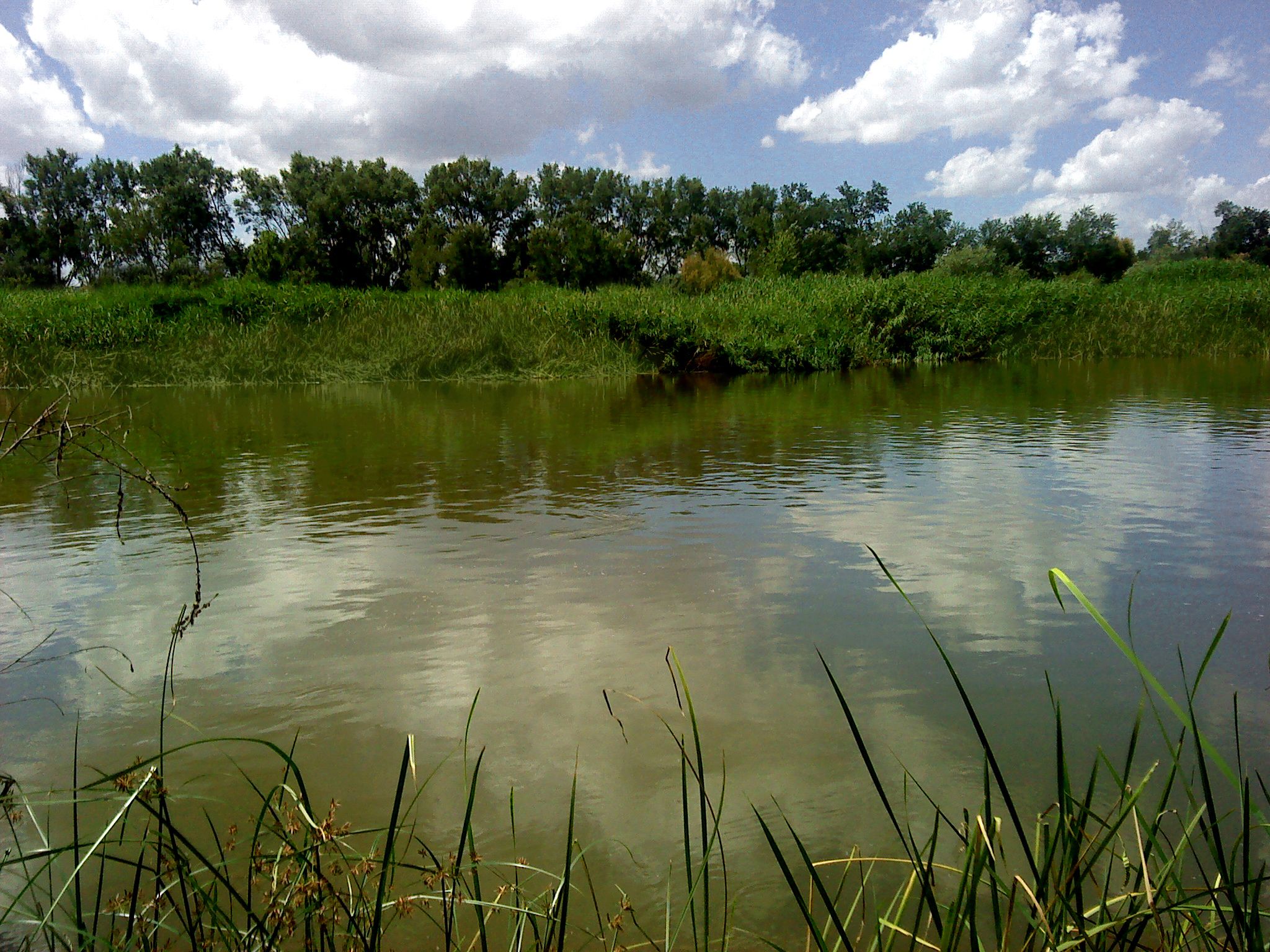 El río, a su paso por Talavera de la Reina (Toledo) / Foto: Wikipedia