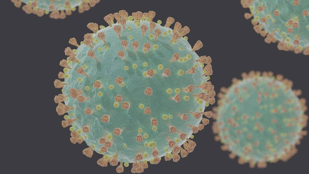 La primera secuencia de un SARS CoV 2 espanol corrobora que muta menos que la gripe / Foto: Wikipedia