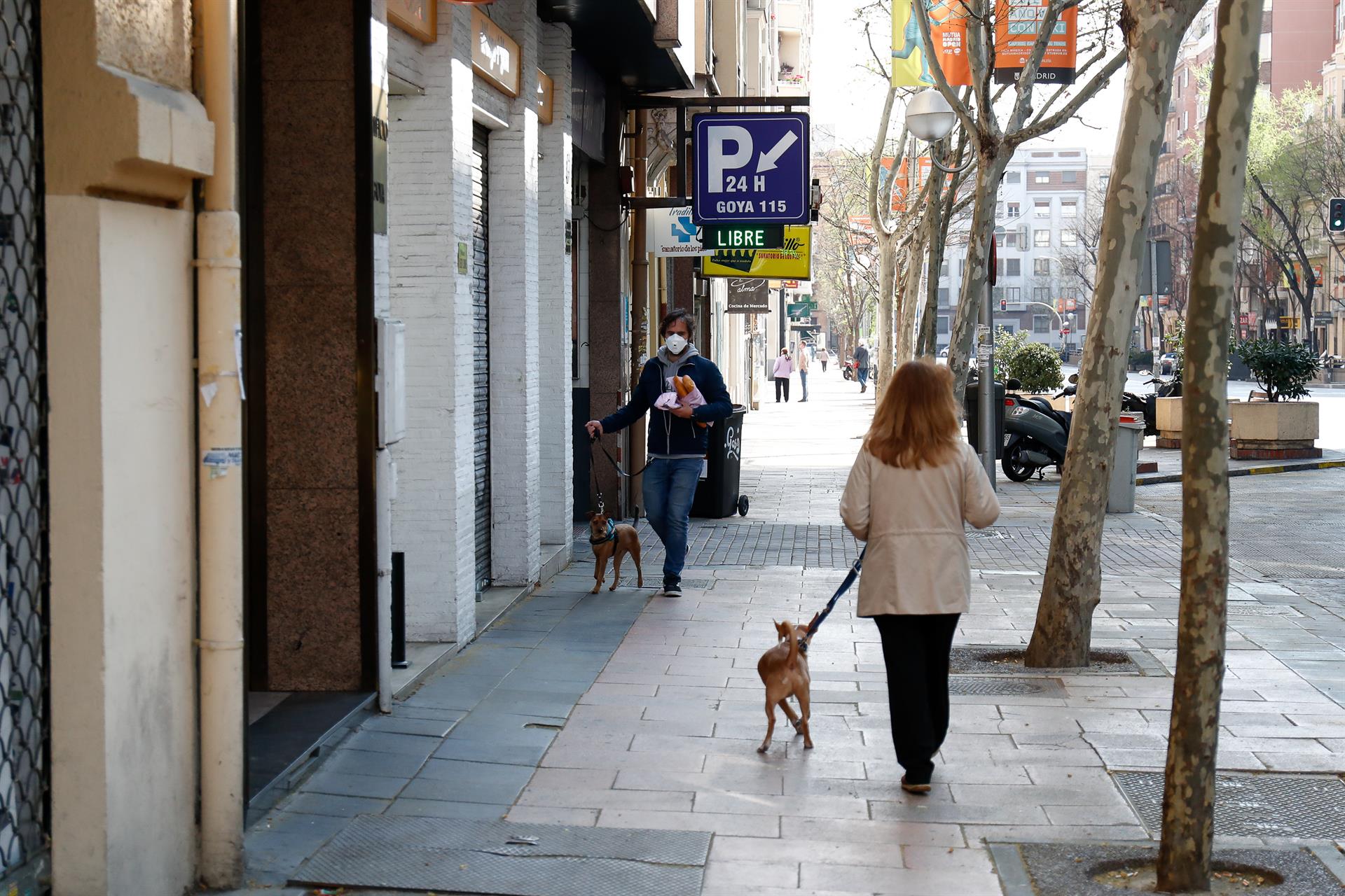 Dos perros sacados a hacer sus necesidades en la vía pública por sus dueños durante el confinamiento / Foto: Óscar J. Barroso - EP