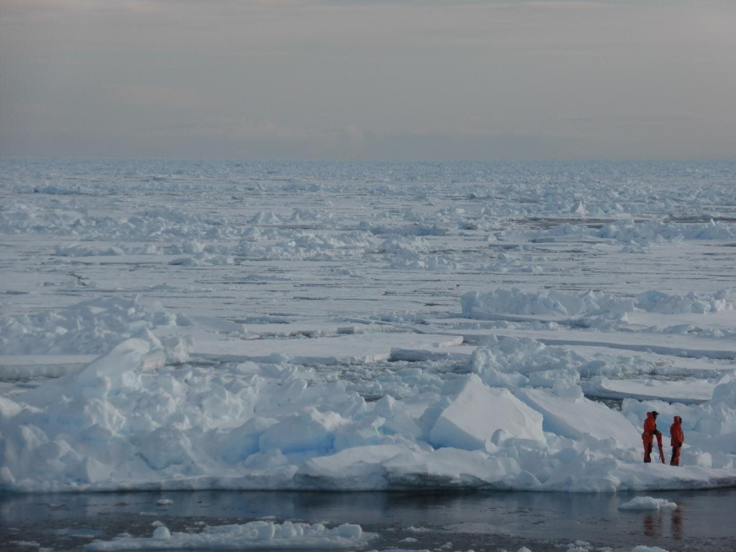 Científicos investigando la banquisa de hielo marino en el Ártico / Foto: Dirk Notz