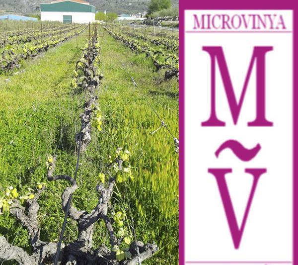 Imagen de los viñedos y logotipo de la marca Microvinya /Foto: ET