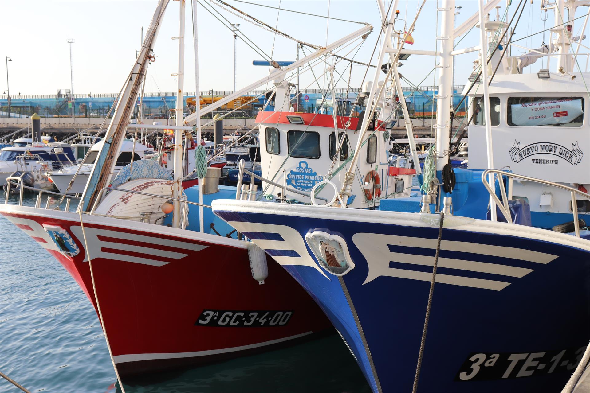 Los autores instan a la UE y el Gobierno español a apoyar las formas de pesca más selectivas frente a la sobrepesca / Foto: Gobierno de Canarias