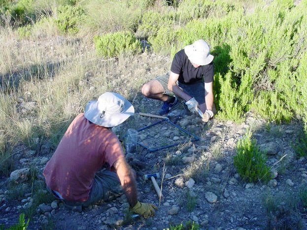 Muestreo de suelos por los científicos en busca de patógenos / Foto: Universidad Pablo de Olavide