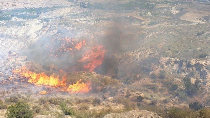 Siniestro forestal en el término municipal de Terque (Almería) / Foto: Infoca