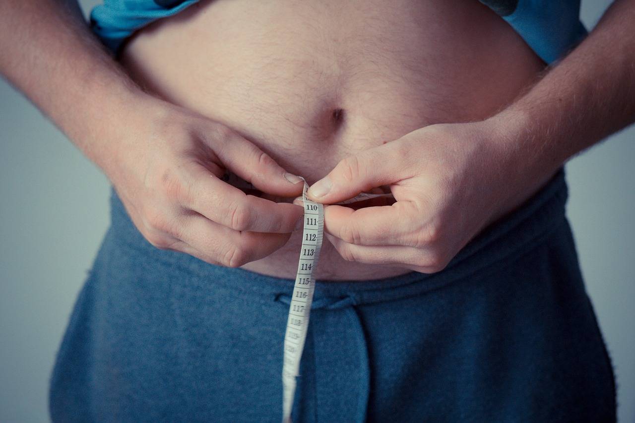 La población española tiene una tasa de más del 60% de sobrepeso y obesidad / Foto: Pixabay