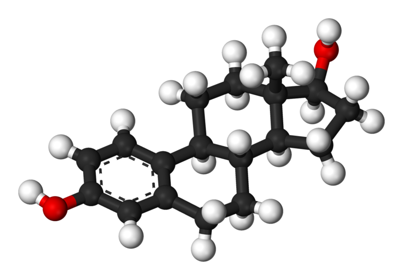 El 17β-estradiol es el estrógeno más abundante en el organismo / Imagen: DICYT