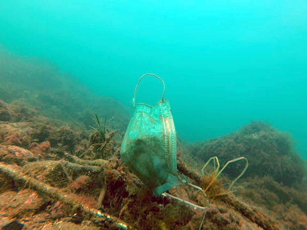 Mascarilla sanitaria utilizada durante el coronavirus en fondo marino del mar Mediterráneo / Foto: Opération Mer Propre