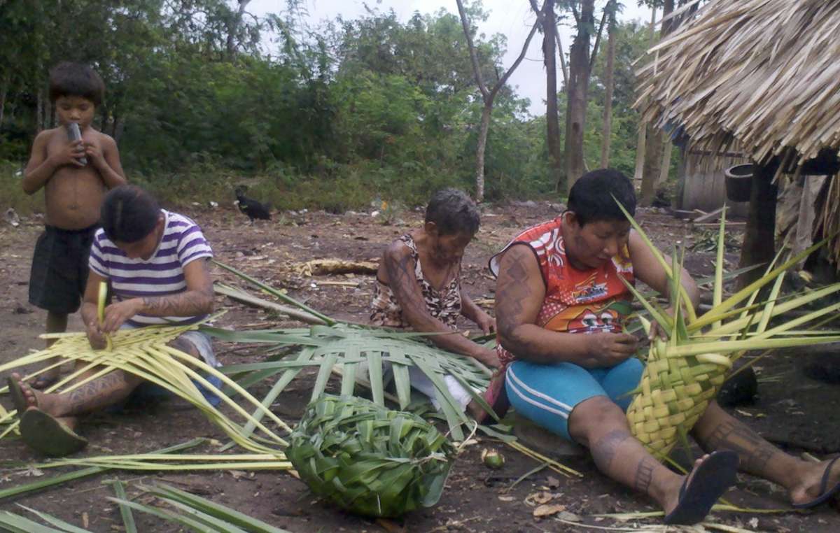 Familia arara, territorio indígena Cachoeira Seca, Brasil / Foto: Leila Burger - Survival