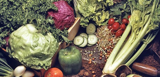 Verduras de cultivo biológico / Foto: John Peacock