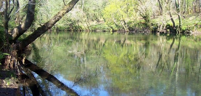 El río Tea a su paso por Ribadetea (Pontevedra, España) / Foto: Elisardojm - Wikipedia