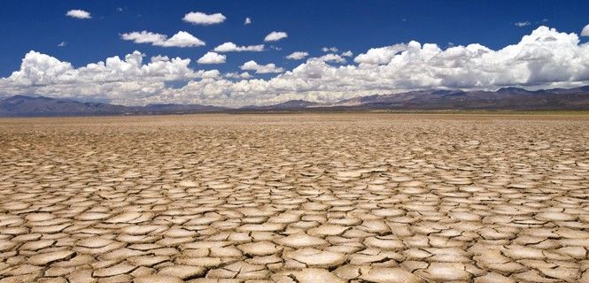 La sequía afectó el pasado año a zonas de Brasil y de Estados Unidos / Foto: Antón Prado