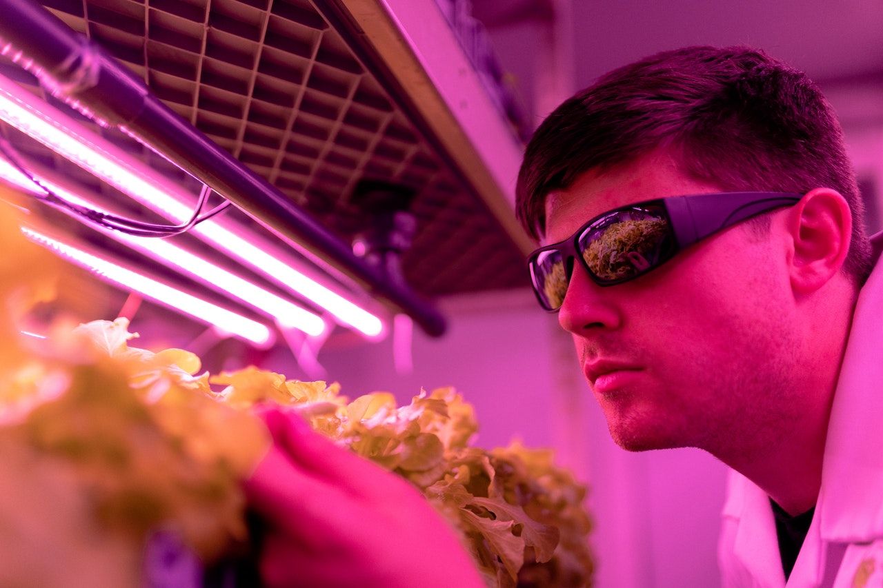  Un científico comprueba cultivos en un laboratorio con uso de luz ultravileta / Foto: EP