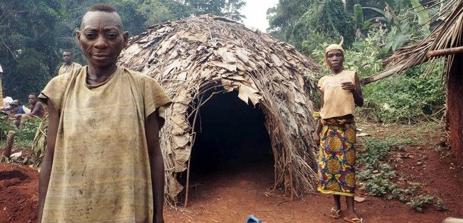 Los baka son nómadas cazadores y recolectores del África central / Foto: Survival International