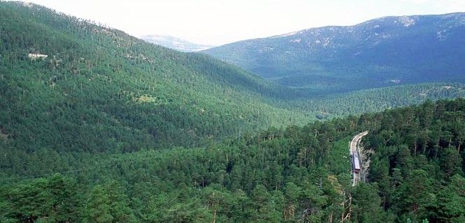 La norma reformada clarifica la clasificación de los espacios forestales / Foto: Magrama