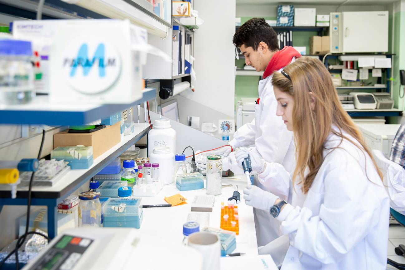 El laboratorio del CNB trabaja para lograr una vacuna contra el SARS-COV-2 / Foto: Sinc