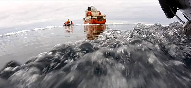 Investigaciones científicas en la Antártida sobre emisión de isopreno / Foto: Sinc