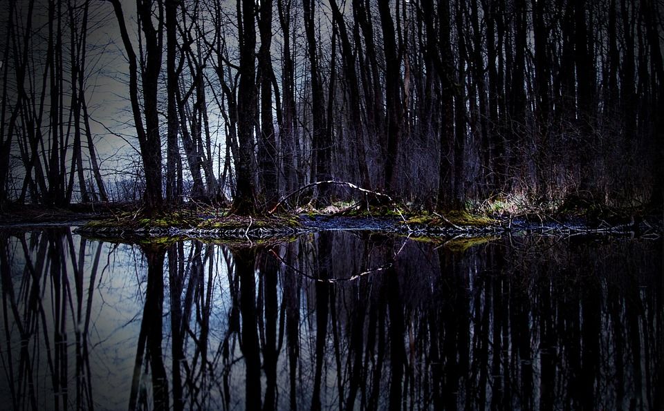 Paisaje lúgubre de un lago en Chequia, donde se han filmado escenas de terror / Foto: Pixabay