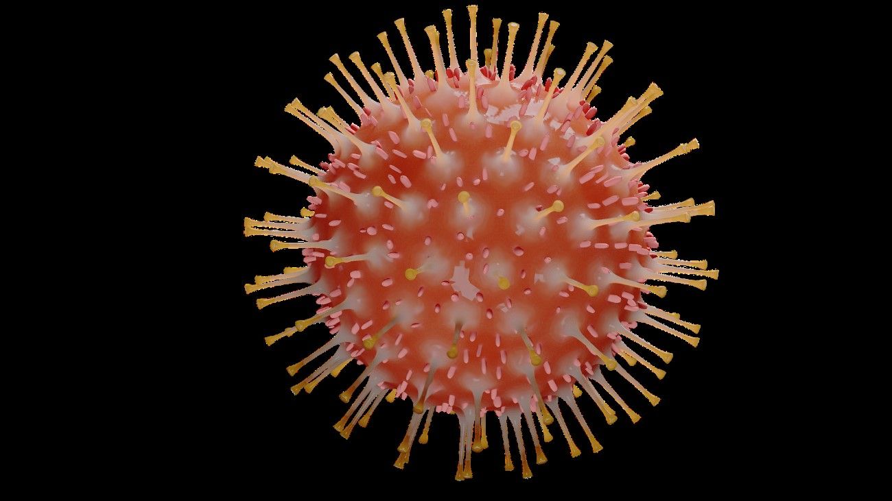 Imagen de coronavirus SARS-CoV-2 / Imagen: DiCYT