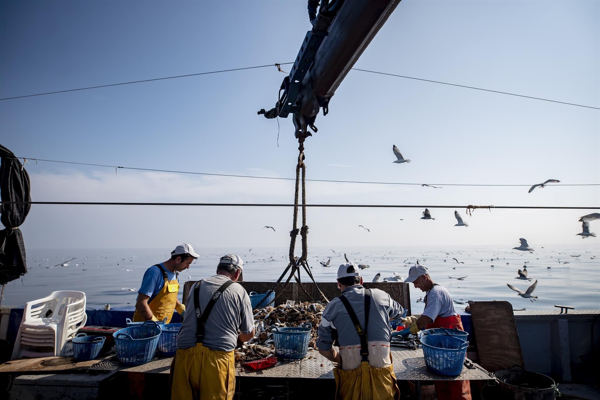 Pescadores catalanes colaboran en la recogida de basura del fondo del mar / Foto: EP