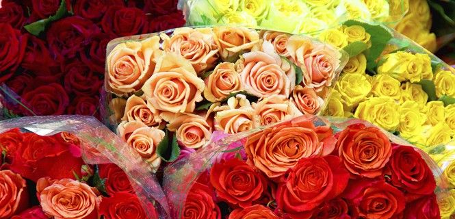 Las rosas son la variedad con mayor demanda estos días / Foto: Pmmar