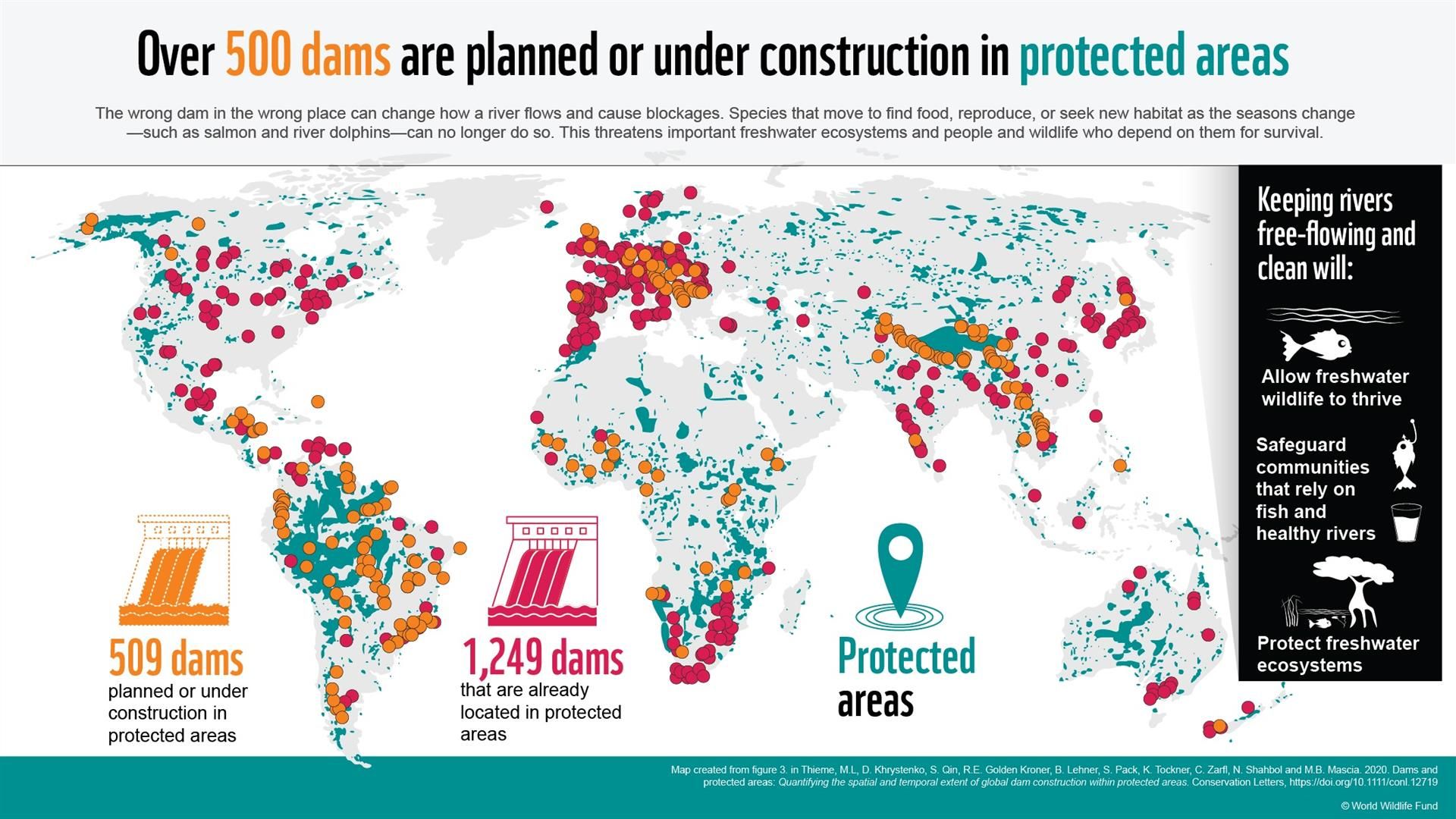 Infografía de las presas en el mundo / Imagen: WWF - EP