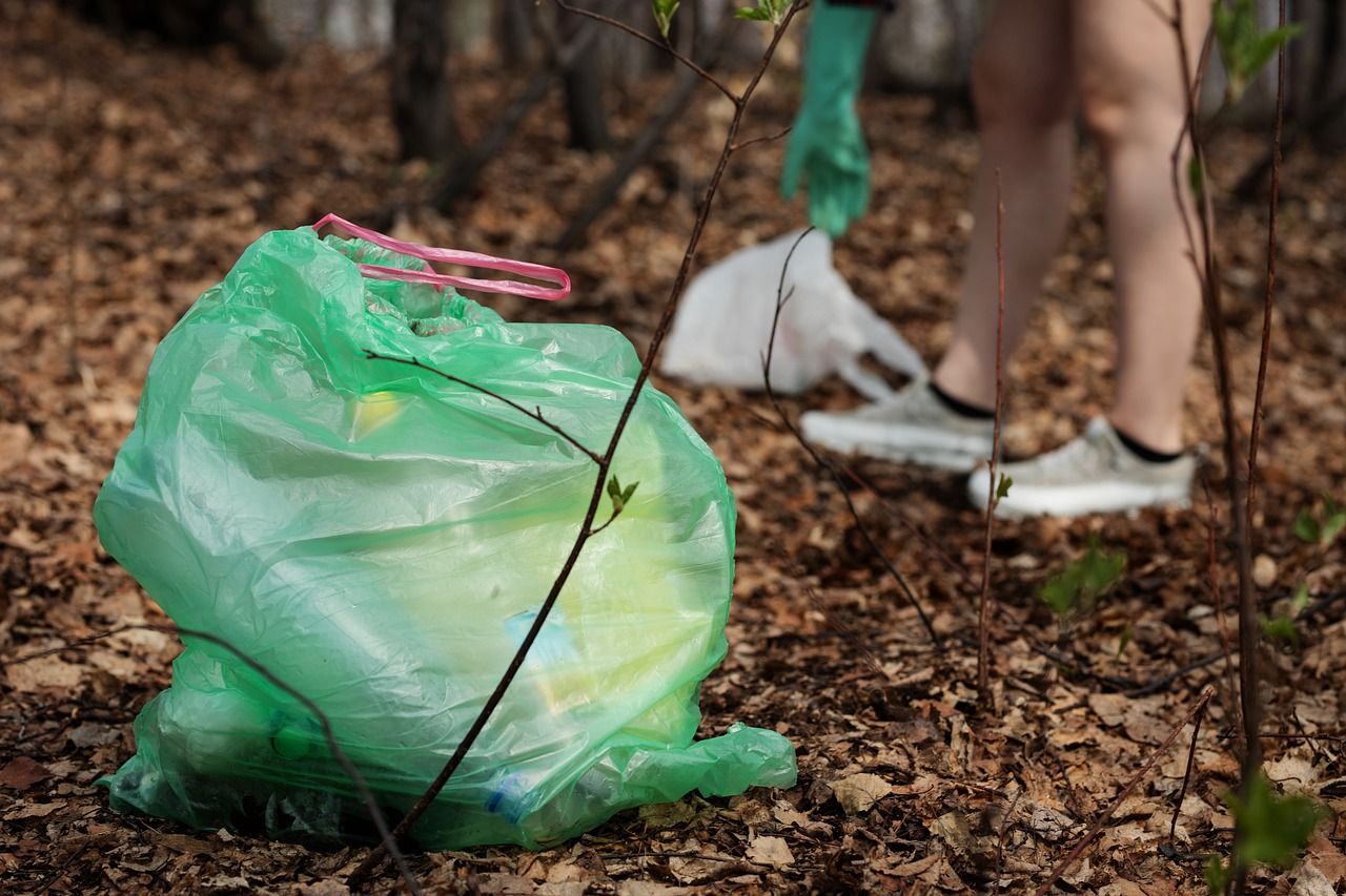 Residuos plásticos en la naturaleza / Foto: Anastasia Gepp - Pixabay