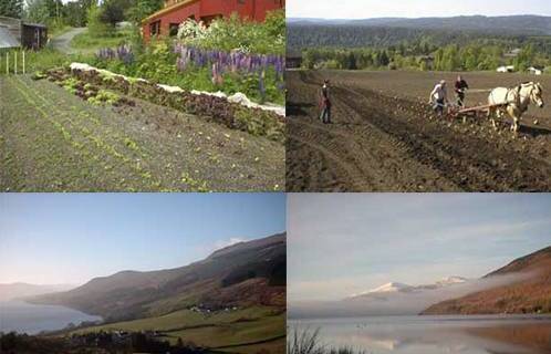 Hay granjas WWOOF en todos los continentes / Foto: http://www.helpx.net
