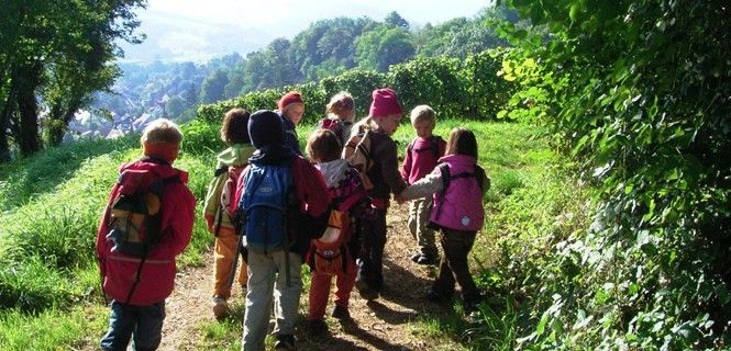 Los niños desarrollarán el currículum escolar en la foresta, el campo o la playa / Foto: Bosquescuela