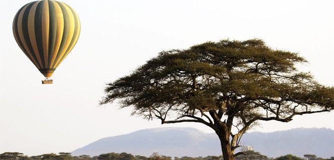 Unos 148.000 visitantes se acercaron al Parque Nacional Serengeti (Tanzania) / Foto: MattiaATH