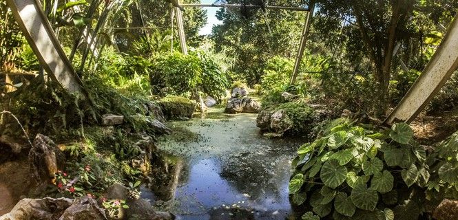 El jardín tiene una colección de más de 4.000 especies vegetales / Foto: Helena Olcina